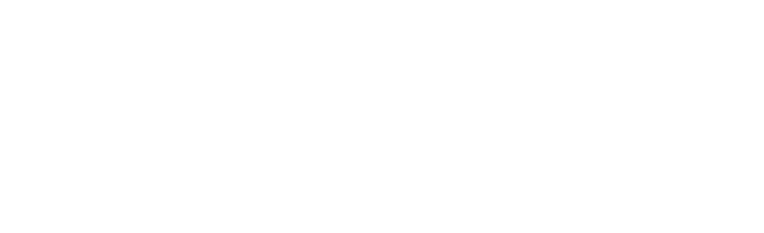YoloTD Logo in white.